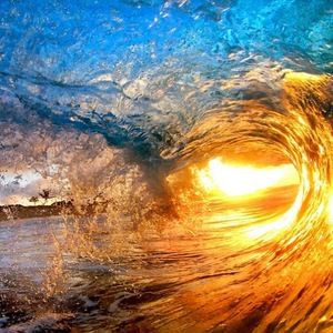 Meet your Posher, Momi